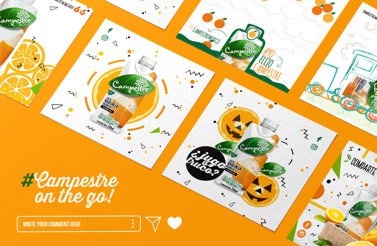 the_nest_branding_Campestre_5