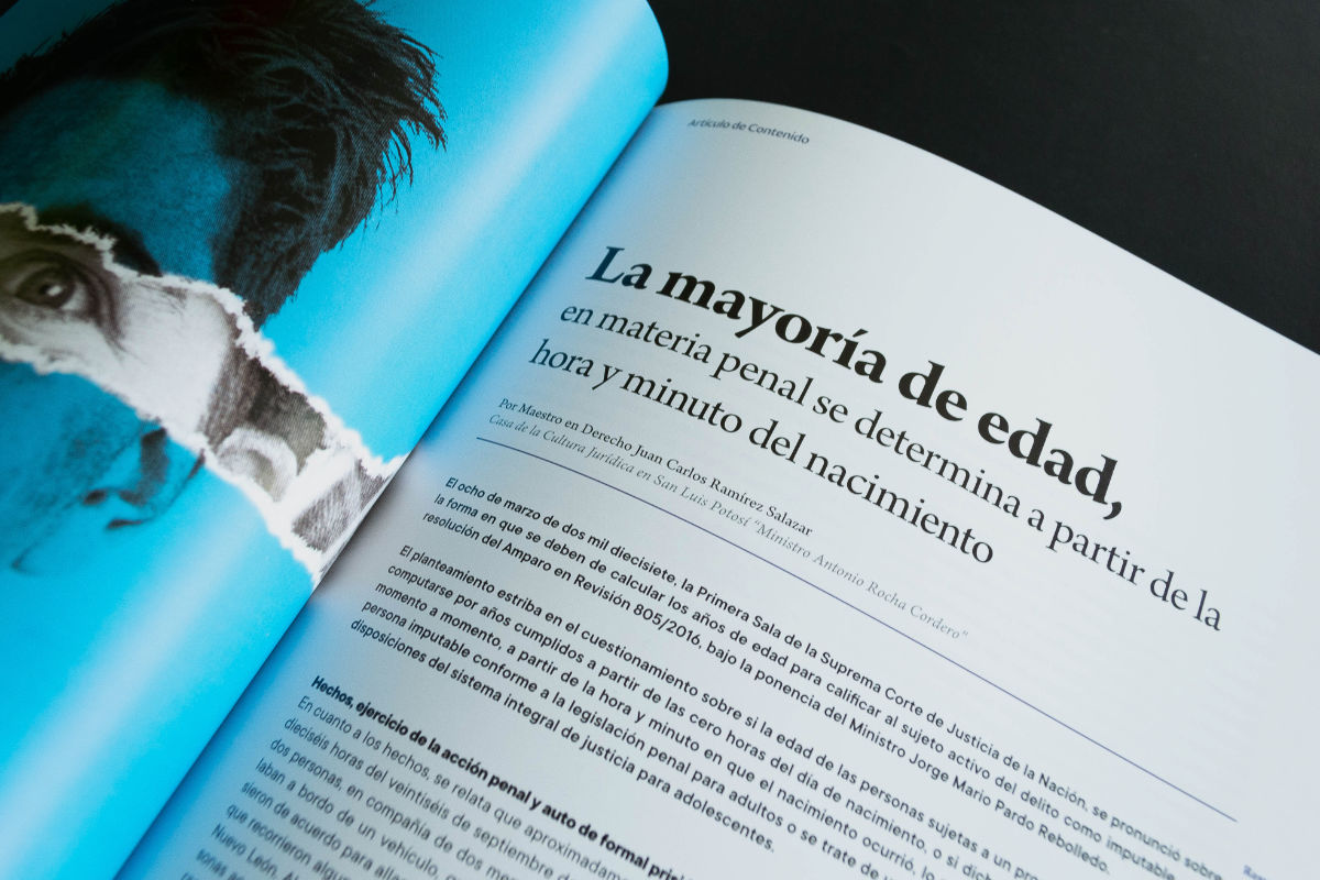 the_nest_branding_revista_justicia_3