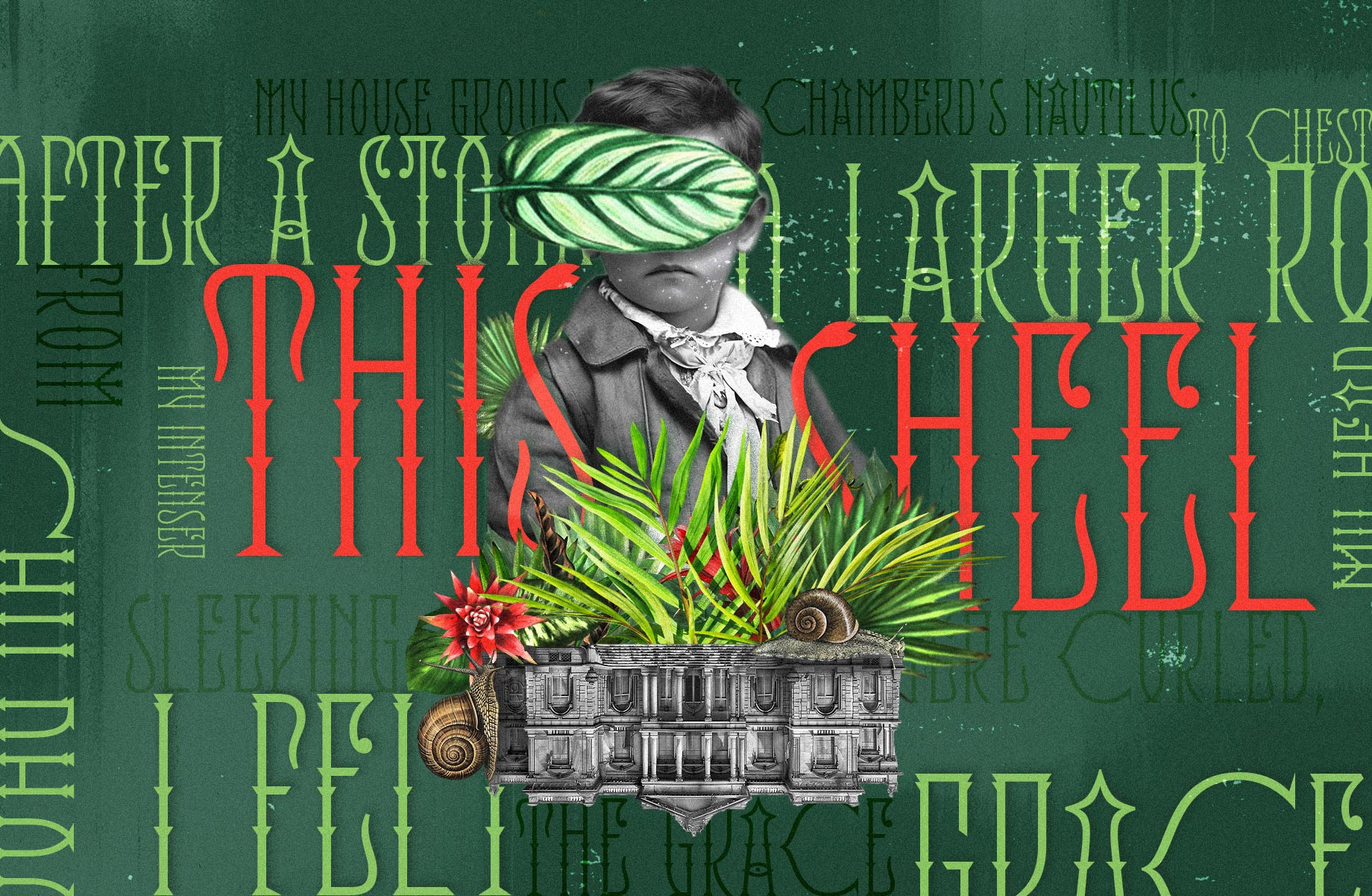 the_nest_branding_tipografia_James_02