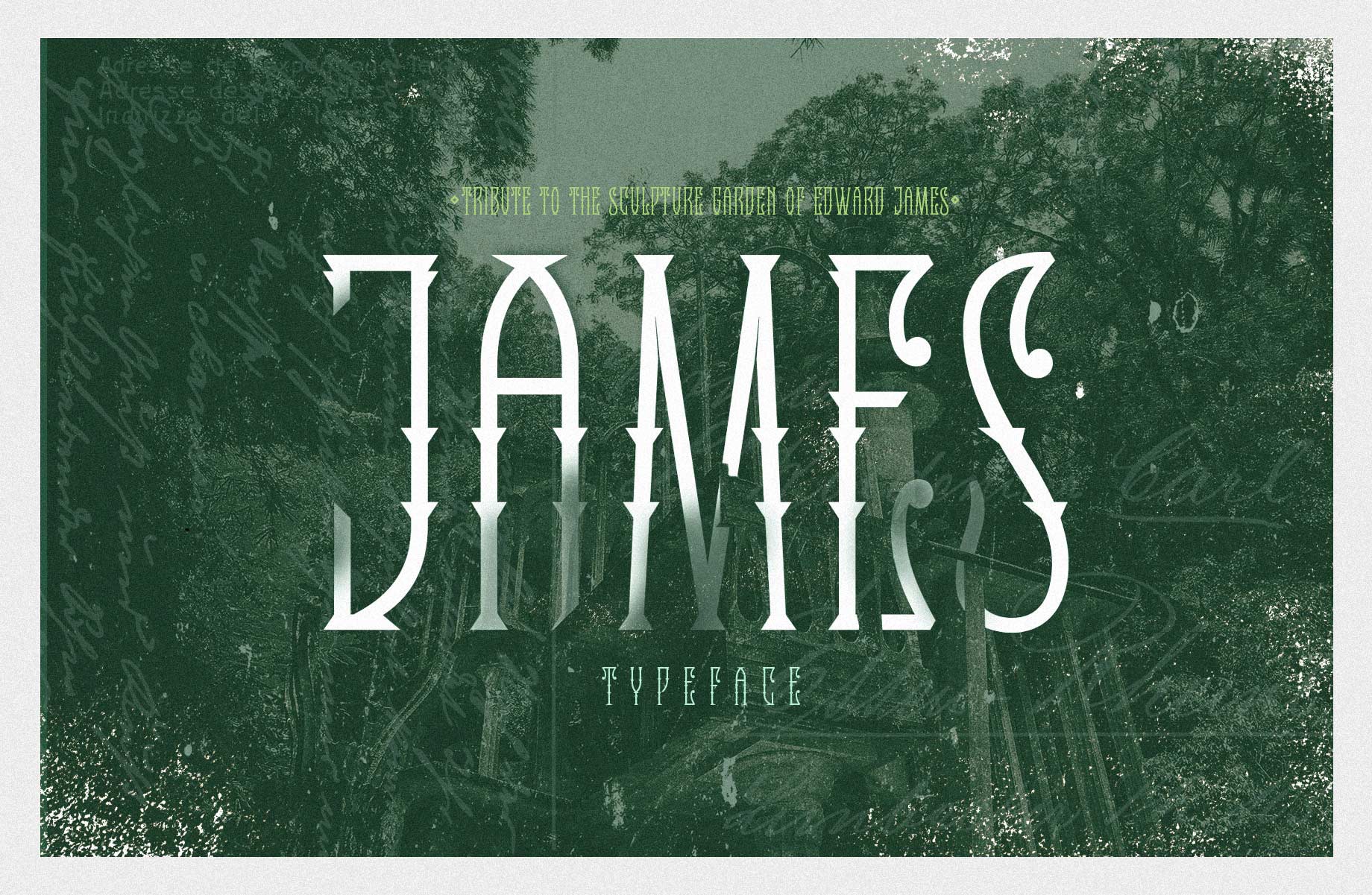 the_nest_branding_tipografia_James_04
